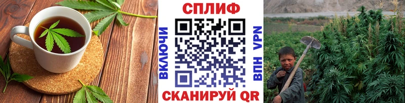мега рабочий сайт  Протвино  Еда ТГК конопля 