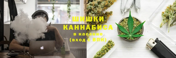 крисы Семилуки