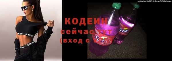 гидра Абаза