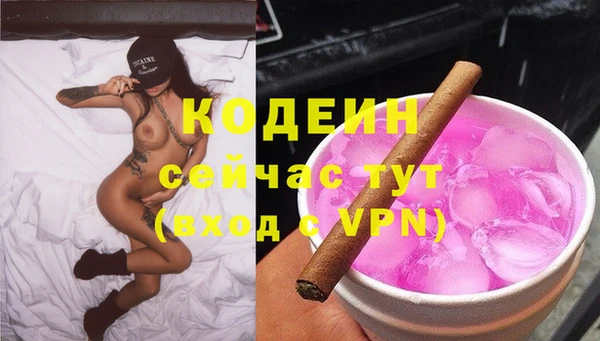 гидра Абаза