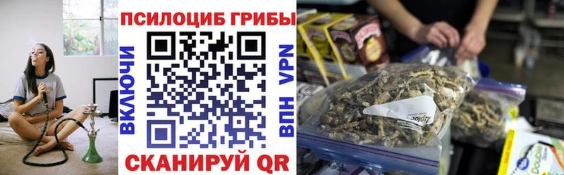 Псилоцибиновые грибы Psilocybine cubensis  купить   mega рабочий сайт  Протвино 