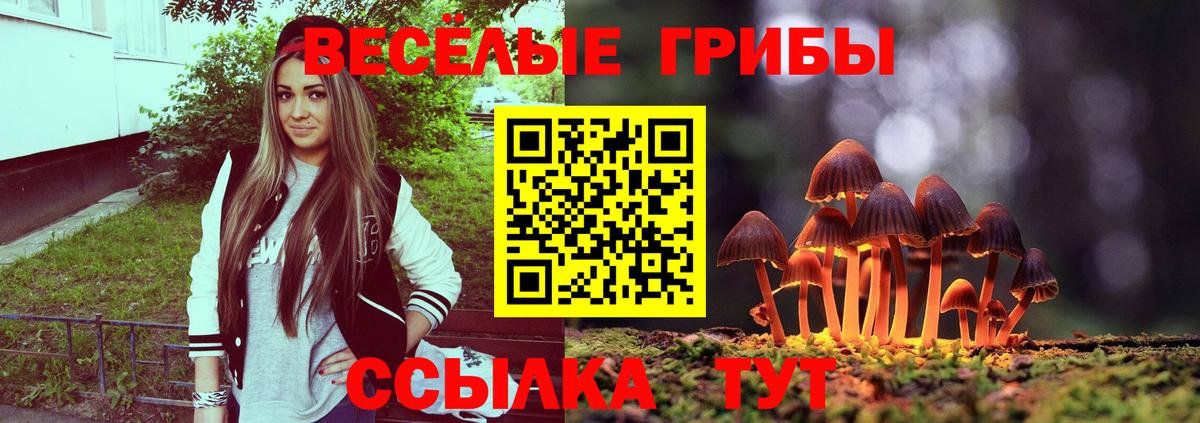 Галлюциногенные грибы мухоморы Протвино