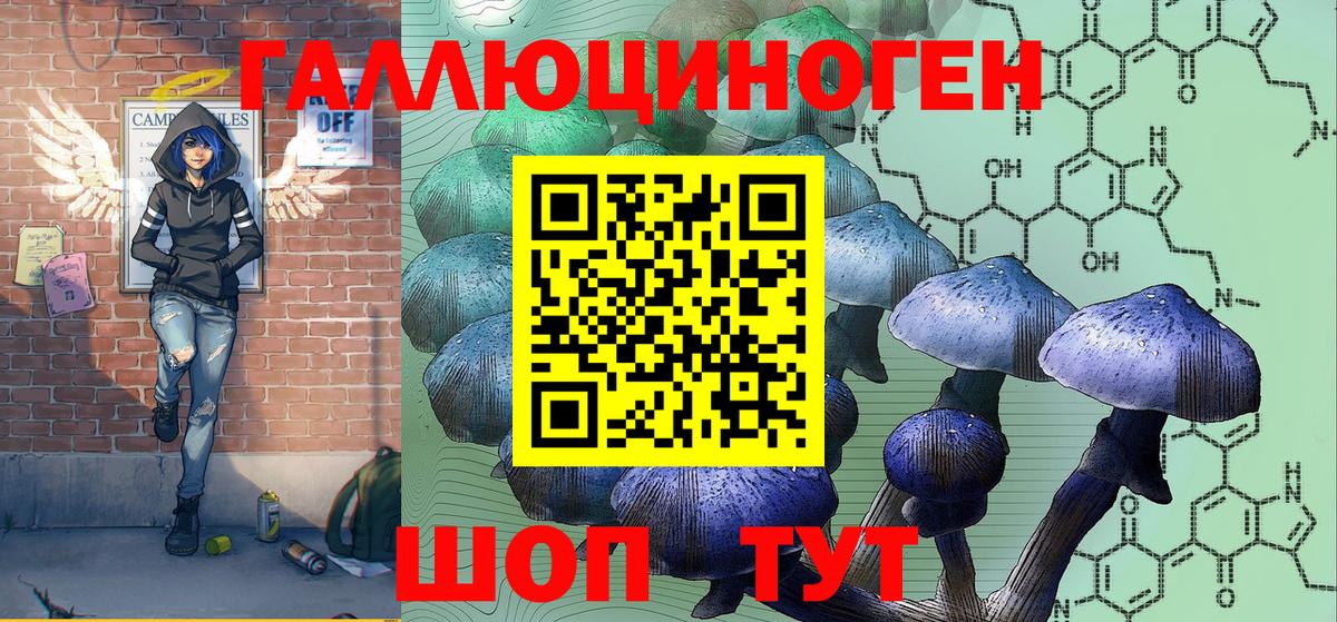 что такое   Вход с VPN  Протвино  Псилоцибиновые грибы мицелий 